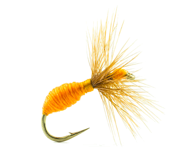 MOUCHE DEVAUX TERRESTRE 517