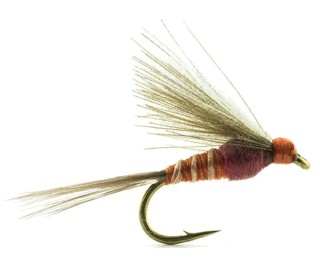 Mouche Devaux émergente jbe02