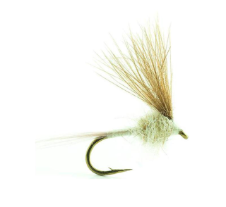 MOUCHE DEVAUX EMERGENTE ATE03