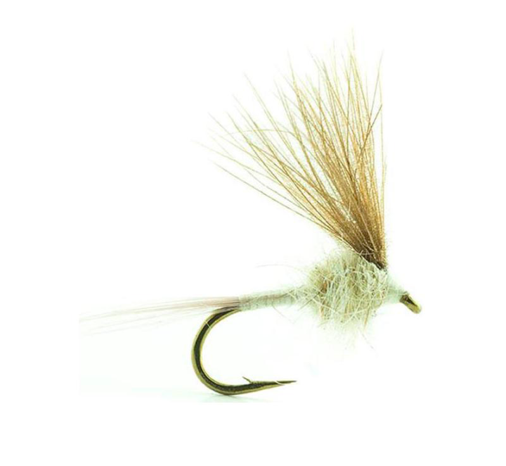 MOUCHE DEVAUX EMERGENTE ATE03