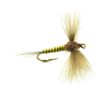 Mouche Devaux spent jbs02