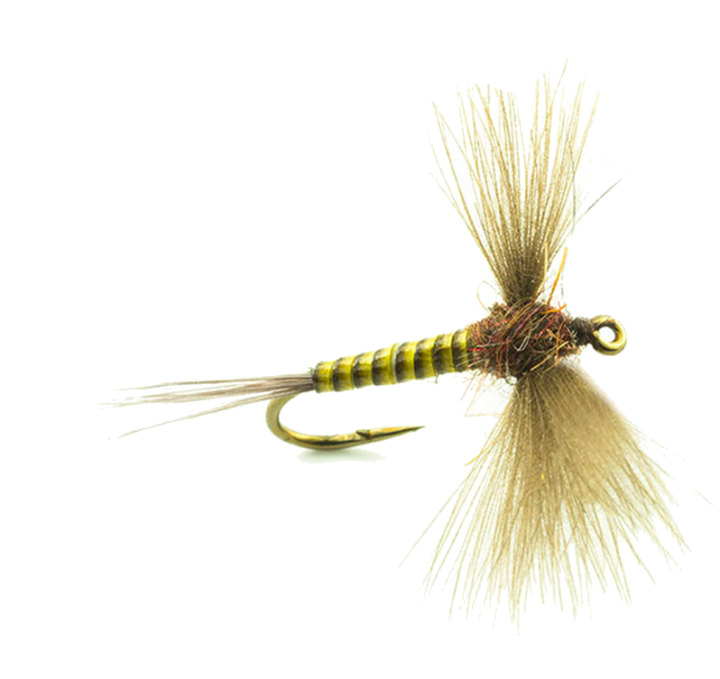 Mouche Devaux spent jbs02