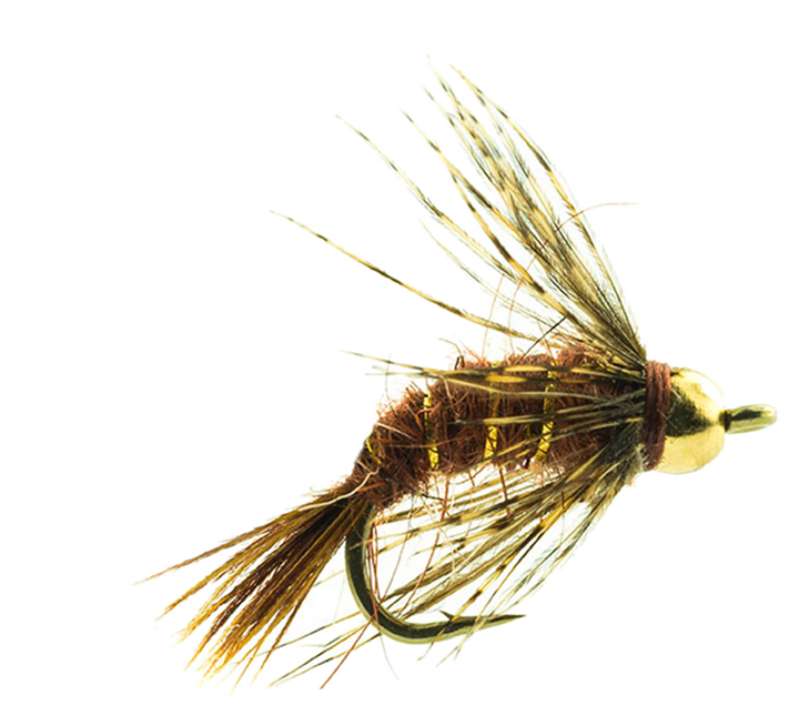 Mouche Devaux noyée gh03