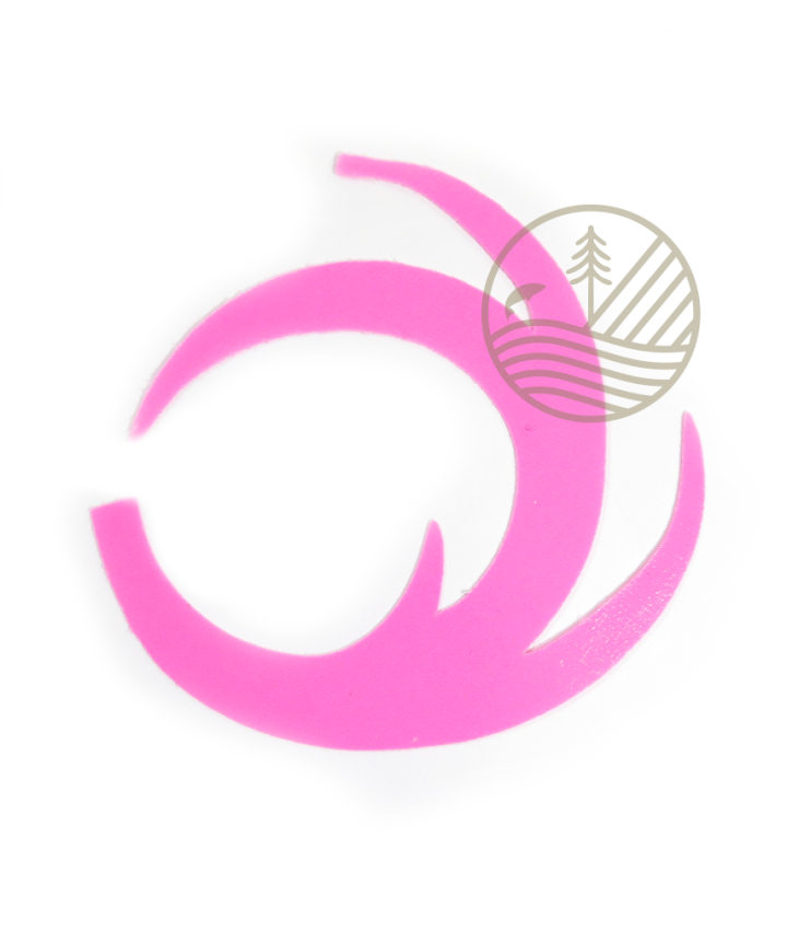 Pacchiarini's Dragon Tails Rose fluo