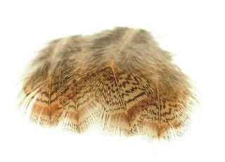 Plumes de perdrix Anglaise 3 grs