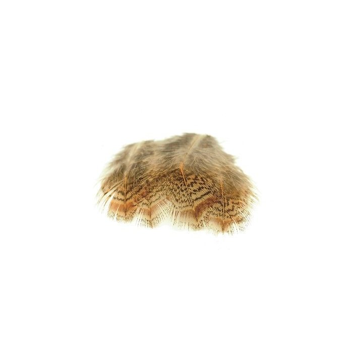 Plumes de perdrix Anglaise 3 grs