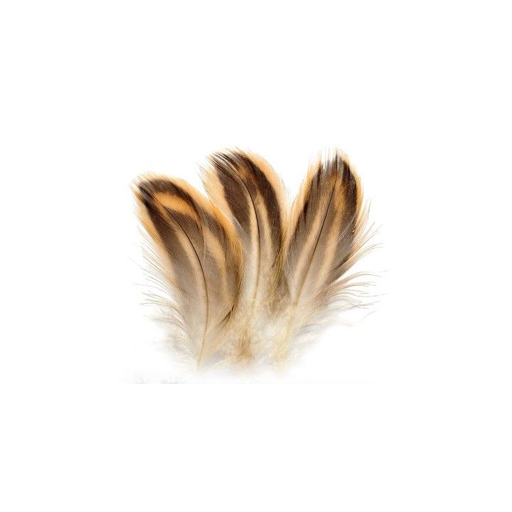 Hen mallard flank flanc de cane