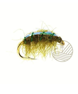 Mouches Flaschback Shrimp